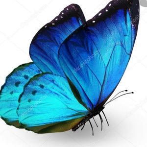 Meet your Posher, Oliver &